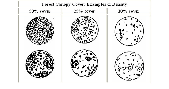 Canopy Cover Chart