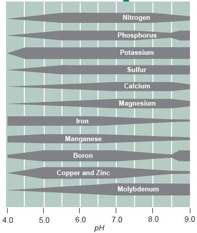 Nutrient Availability pH